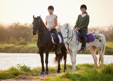 blog-4