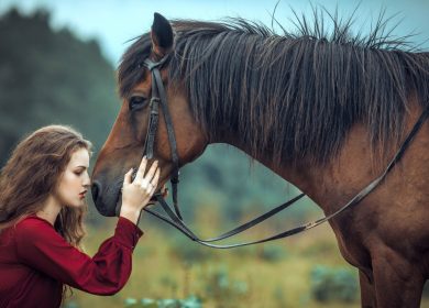 blog-5