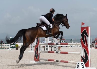 blog-9